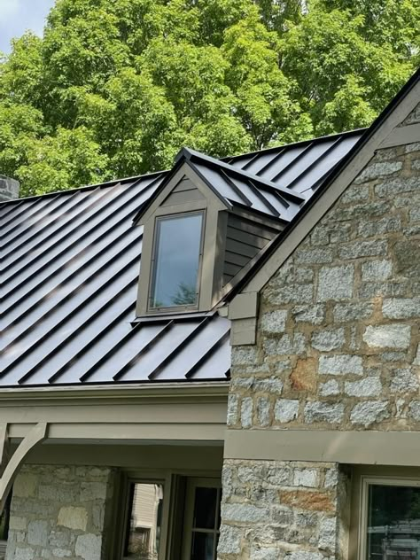 Hillside Cabin, Club Exterior, Black Home Exterior, Metal Roof Houses, Reducing Carbon Footprint, Learn Interior Design, Standing Seam Roof, Roofing Options, Metal Roofs