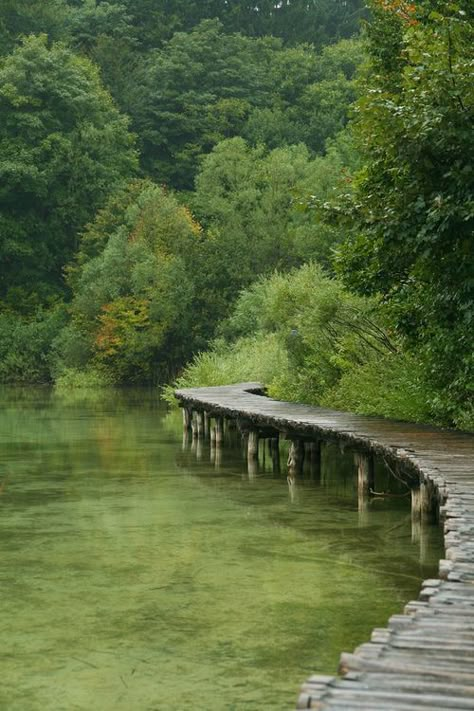 On the Pier Wood Cabins, Trip Planner, Garden Cottage, Green House, Intp, Nature Aesthetic, Pretty Places, Beautiful World, Beautiful Landscapes