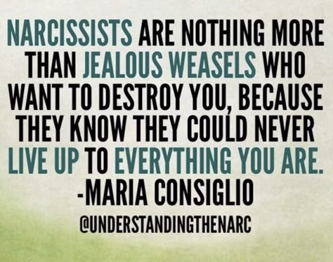 Jealous People, Narcissism Quotes, Manipulative People, Narcissism Relationships, Narcissistic People, Narcissistic Mother, Bad People, Narcissistic Personality, Flying Monkeys