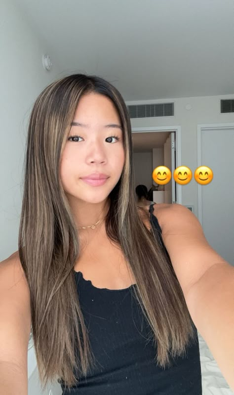 Light Brown Highlights On Black Hair, Cool Toned Highlights, Asian Hair Highlights, Black Hair With Brown Highlights, Black Hair With Blonde Highlights, Emily Ha, Ha Sisters, Hair Highlight, Black Hair Balayage