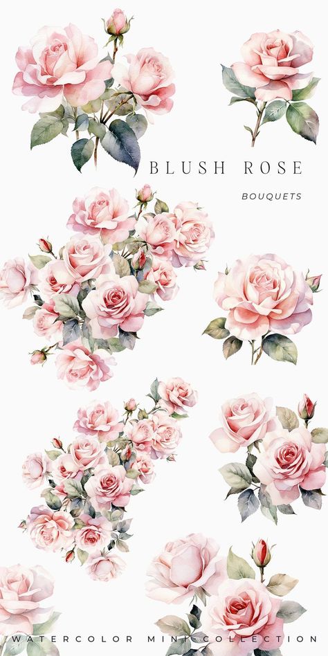 Vintage Rose Illustration1 Watercolor blush rose bouquets, delicate pink flowers with green leaves, from the Watercolor Mint Collection. | Sky Rye Design Free Flower Clipart, Roses Clipart, Png Rose, Clip Art Frames Borders, Book Clip Art, Rose Sketch, Rose Clipart, Printable Flower, Realistic Rose