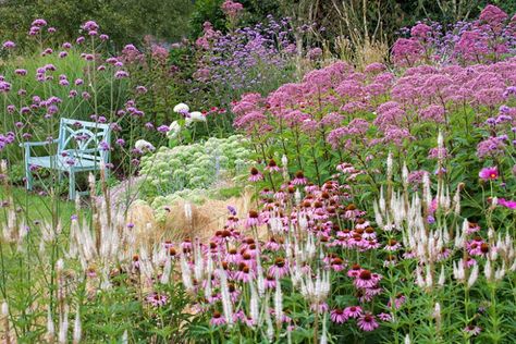 Hydrangea Arborescens Annabelle, Prairie Planting, Style Anglais, Prairie Garden, Meadow Garden, Have Inspiration, Mediterranean Garden, Traditional Garden, Lake Pictures