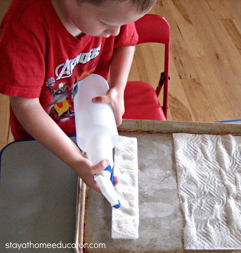 How A Cactus Retains Water Experiment - Stay At Home Educator Desert Theme Preschool, Desert Animals Activities, Desert Preschool, Desert Crafts, Habitat Activities, Intentional Teaching, Desert Biome, Water Experiments, Theme Preschool