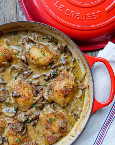 Braised chicken with creamy mushroom sauce | eat. live. travel. write. Chicken Thighs Dutch Oven, Creamy Chicken Thighs, Braiser Recipes, Mushroom Skillet, Dutch Oven Recipes Cast Iron, Braising Recipes, Protein Dishes, Mushroom Garlic, Creuset Recipes