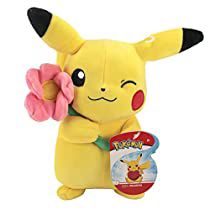 Check this out! Pikachu Plushies, Pikachu Png, Hedgehog Room, Pokemon Valentine, Flower Plush, Pokemon Realistic, Pokemon Plushies, Pusheen Plush, Pokemon Merchandise