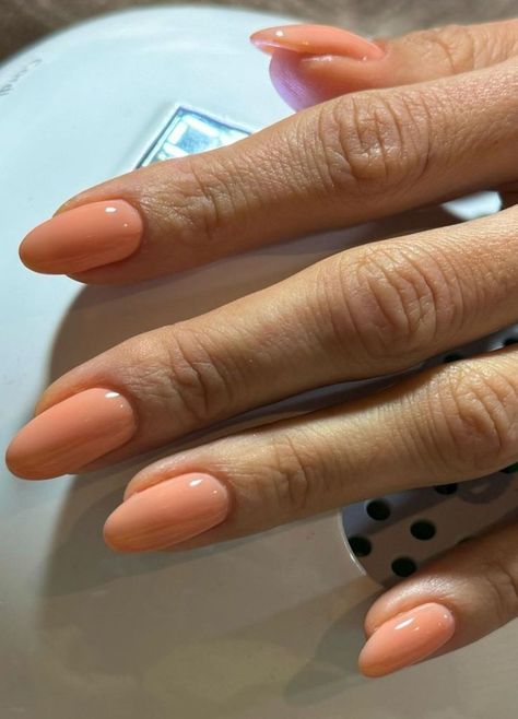 10 Winter Nail Colors to Try This Year | The Everygirl Summer Nails Olive Skin, Almond Nails Ideas Solid Colors, Peachy Nail Color, Neutral Spring Nail Colors, Subtle Orange Nails, Spring Nails Colors 2024, Peachy Nails Designs, One Colored Nails, Summer Neutral Nail Colors