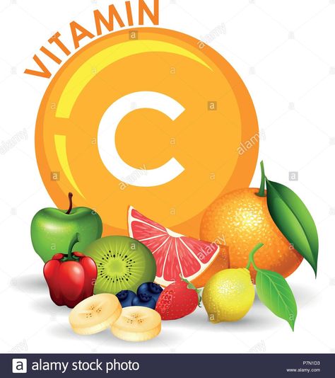 Download this stock vector: A Set of High Vitamin C Fruit illustration - P7N1D3 from Alamy's library of millions of high resolution stock photos, illustrations and vectors. Vitamin D Side Effects, Pharmacy Art, Vitamin C Foods, Cartoon Drawing Ideas Easy, Vitamin A Foods, Cartoon Drawing Ideas, Gummy Vitamins, Food Cartoon, Food Png