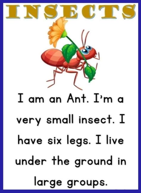 Grasshopper Activities, Preschool Insects, The Ant And The Grasshopper, Language Activities Preschool, Ants Activities, Insects Preschool, Reading Cards, Reading Comprehension Lessons, English Activities For Kids