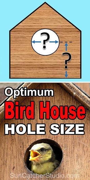 Bird House Plans Free, Bird Feeder Plans, Homemade Bird Houses, Bird Houses Ideas Diy, Bird House Feeder, Bluebird House, Bird House Plans, Unique Bird Houses, Bird House Kits