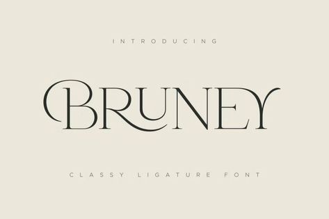 35+ Best Luxury & Elegant Fonts in 2023 (Free & Pro) | Design Shack Alfabet Font, Mises En Page Design Graphique, Font Branding, Classy Fonts, Feminine Fonts, Font Love, Unique Logos, Business Fonts, Unique Font