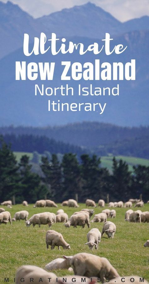 New Zealand North Island, New Zealand Itinerary, North Island New Zealand, New Zealand Travel Guide, Travel New Zealand, Visit New Zealand, New Zealand North, Itinerary Ideas, Oceania Travel