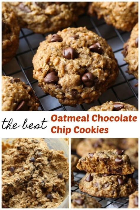 Oatmeal Chocolate Chip Cookies are soft, chewy, and thick oatmeal cookie recipe that is a buttery and delicious and stays soft for days! #cookiesandcups #cookierecipe #cookies #oatmealcookies #chocolatechipcookies Best Oatmeal Chocolate Chip Cookies, Desserts Nutella, The Best Oatmeal, Oatmeal Chocolate Chip Cookie Recipe, Best Oatmeal Cookies, Coconut Chocolate Chip Cookies, Dessert Halloween, Fitness Meals, Oatmeal Cookies Chewy