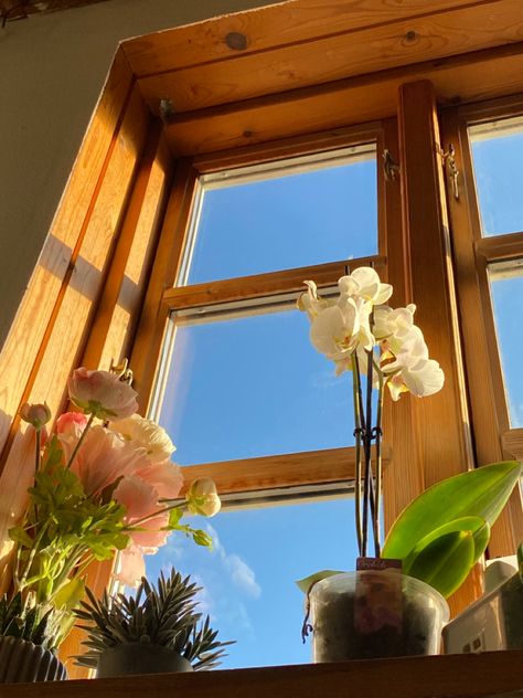 Sunshine Window Aesthetic, Soft Sun Aesthetic, 10 Am Morning Aesthetic, Summer Sunshine Aesthetic, Happy Morning Aesthetic, Summer Mornings Aesthetic, Warm Sunset Aesthetic, Summer Cozy Aesthetic, Warm Feeling Aesthetic