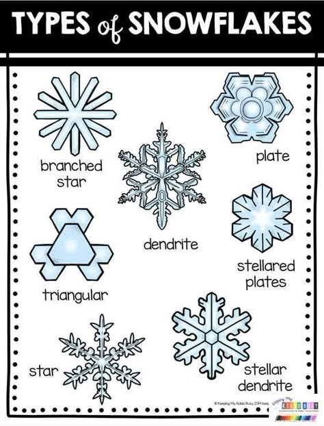 Snowflake Inquiry Kindergarten, Snow Steam Activities, Snowflake Activities For Kindergarten, Snow Inquiry Kindergarten, Winter Science Kindergarten, Snow Unit Study, Snow Activities For Kindergarten, Snowflakes Kindergarten, Snowflake Activities For Kids