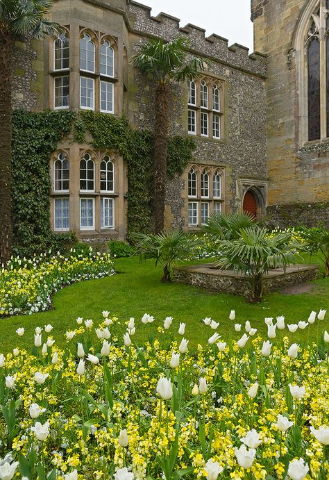 Garden Castle Aesthetic, Castle Courtyard Garden, Boarding School Courtyard, School Courtyard Aesthetic, French Castle Exterior, Castle Courtyard Aesthetic, Castle Aesthetic Garden, Small Castle Exterior, Small Castle Aesthetic