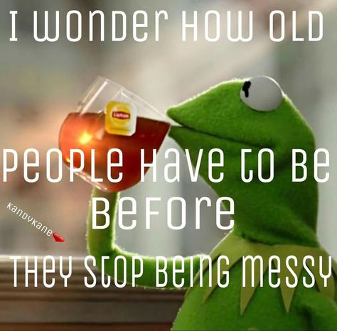 Kermit #messy meme Messy People Quotes, Grandparent Alienation, Kermit The Frog Memes, Kermit Meme, Kermit Memes, Messy People, I Just Dont Care, Christmas Bows Diy, Kermit Funny