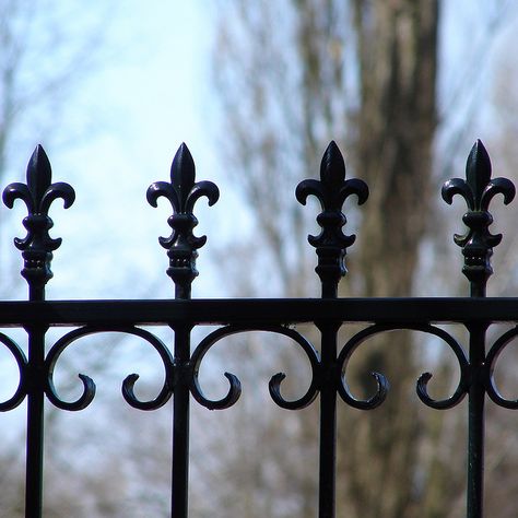 top to a iron fence fleur de lis YUM!!!! Wrought Iron Designs, Wrought Iron Fencing, Iron Fencing, Wrought Iron Railings, Wrought Iron Fence, Iron Fences, Natural Fence, Iron Railings, Gates Design