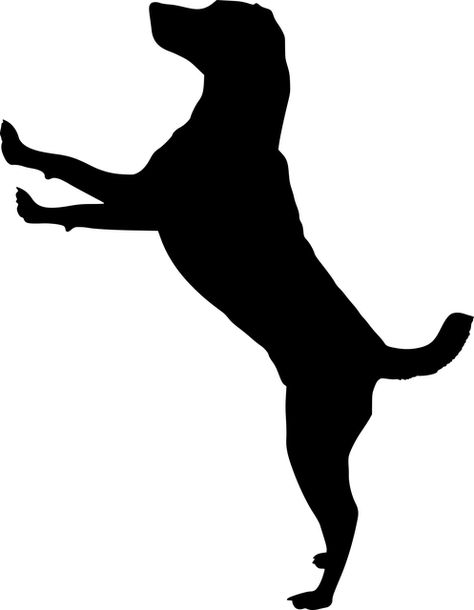 Free Image on Pixabay - Silhouette, Dog, Doggy, Animal Silhouette Arte, Silhouette Chat, Vogel Silhouette, Dog Nature, Silhouette Dog, Tattoo Dog, Dog Quilts, Trendy Tattoo, 강아지 그림