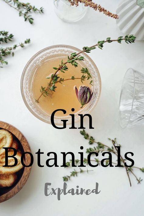 Of All The Gin Joints In All The World, Gin Botanicals Recipes, Botanical Drinks, Botanical Apothecary, Botanical Recipes, Gin Ingredients, Gin Botanicals, Gin Recipe, Campari Cocktails