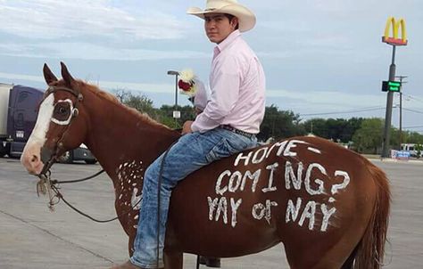 Never seen a homecoming proposal like this one. Cowboy Homecoming Proposal, Western Dance Proposal, Cowboy Promposal Ideas, Cowboy Hoco Proposal, Horse Hoco Proposals, Western Prom Proposal, Poster Proposal Ideas, Western Hoco Proposal, Cowboy Homecoming