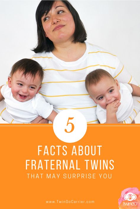 When many people hear the word “twins” they automatically think of identical twins. But fraternal twins are actually much more common, making up approximately 75% of the twin population. Twin Facts, Twin Delivery, Twin Baby Carrier, Twin Ideas, Breastfeeding Twins, Raising Twins, Pregnant With Twins, Twin Baby Boys, Twin Photography