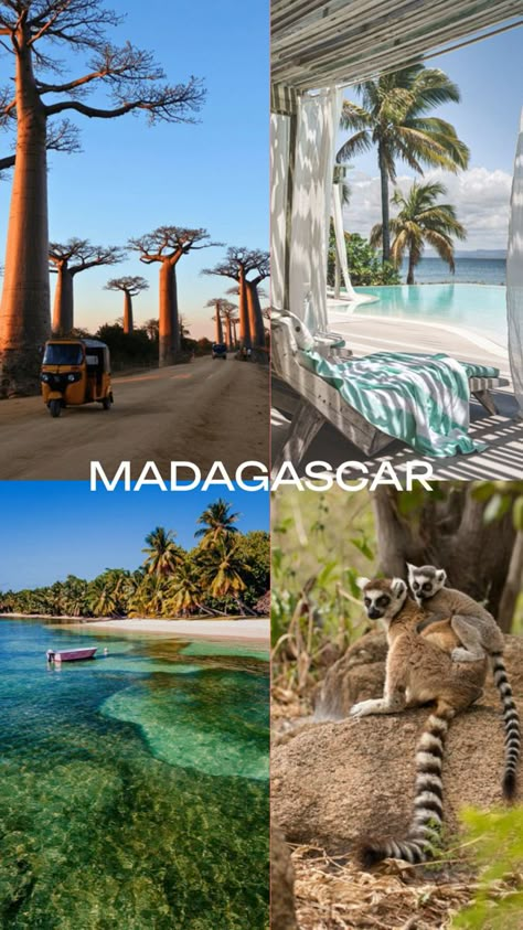 Places To Go On Holiday, Madagascar Aesthetic, Tropical Vacation Places, Madagascar Travel, Africa Countries, Best Countries To Visit, Dream Vacation Spots, Holiday Travel Destinations, Top Places To Travel