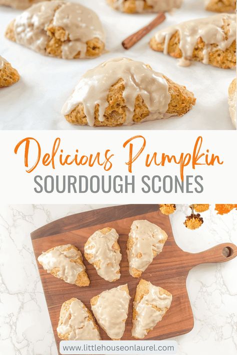 Pumpkin Sourdough, Sourdough Starter Discard Recipes, Sourdough Scones, Starter Discard Recipes, Using Sourdough Starter, Recipe Using Sourdough Starter, Sourdough Starter Recipes, Scones Easy, Discard Recipe