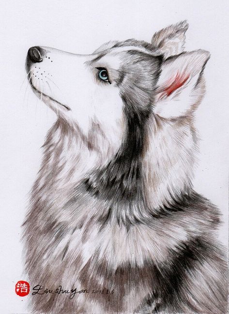 Husky Drawing, Dog Portrait Drawing, Malamute Husky, Abstract Tree Painting, Dog Canvas Art, Animal Drawings Sketches, Pen Art Drawings, Dog Sketch, Watercolor Paintings For Beginners