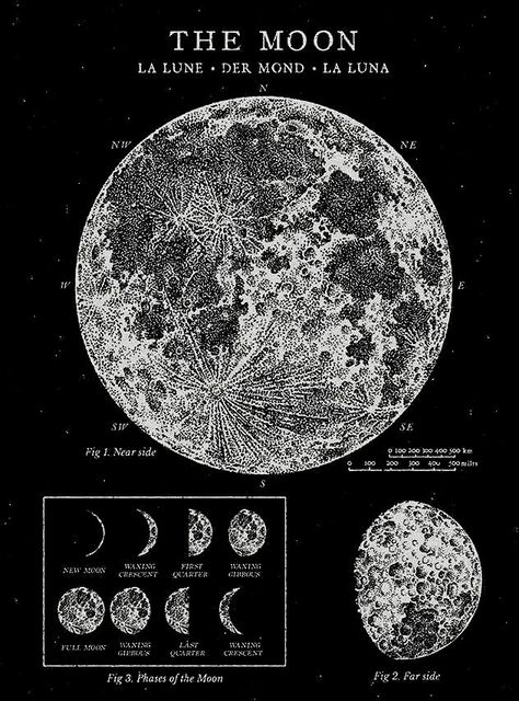 LA LUNE • DER MOND • LA LUNA 🌕 THE MOON 🌕 Printable Wall Collage, Grunge Posters, Astronomy Poster, 달력 디자인, Cool Optical Illusions, Vintage Poster Design, Moon Moon, Moon Poster, Poster Room