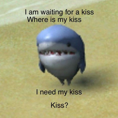 Shark Meme, Shark Tale, Cool Sharks, Shark Pictures, Shark Plush, Cute Shark, I Love My Girlfriend, Baby Animals Funny, I Love My Wife