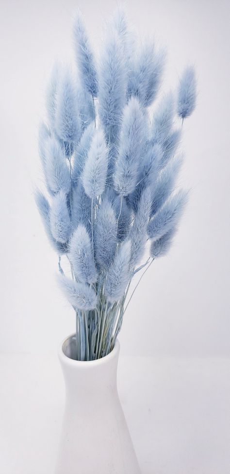 "- Lagurus in the color Baby Blue - For a sparkling floral arrangement. Imported from Japan -Includes Length 15\" - 16\"  - Color: Baby Blue -Weight: Approx 15 Gram - You will receive a bunch as you can see in the picture - Perfect for Home decor, Wedding decor, DIY Floral arrangements, Shadowbox decoration, Giveaways, Wedding bouquets, Wedding flower walls, and interior decor for any occasion. These are perfect for use in bouquets and in the formation of floral arrangements of any size for deco Dried Flowers In Blue Vase, Blue Glass Vase Flower, Dusty Blue Glass Vase, Pompous Grass Blue Vase, Light Blue Vase, Baby Blue Decor, Floral Candle Centerpieces, Light Blue Home Decor, Floral Vase Arrangements