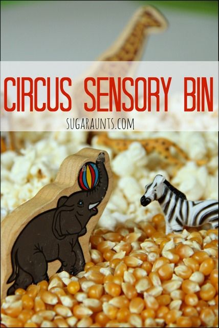 Circus Sensory Bin, Circus Sensory, Unicycle Circus, Circus Books, Circus Crafts Preschool, Circus Week, Preschool Circus, Sensory Bin Activities, Circus Activities