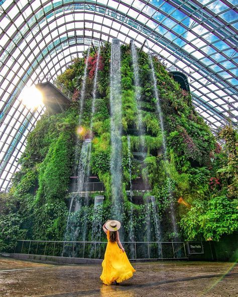 Travel & Lifestyle I Singapore on Instagram: “Discover Singapore 🇸🇬 l Gardens by the Bay⁣ ⁣ At Gardens by the Bay's cloud forest admiring our indoor waterfall with surreal mist and…” Gardens By The Bay Photo Ideas, Garden By The Bay Singapore Outfit, Gardens By The Bay Outfit, Malaysia Photo Ideas, Singapore Aesthetic Outfit, Singapore Instagram Photos, Singapore Aesthetic Photography, Singapore Poses, Singapore Fits