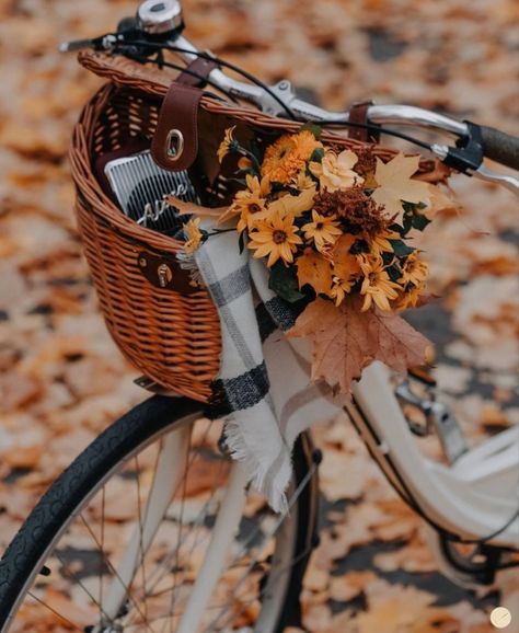 Bicycle Pictures, Cottagecore Living, Bike With Basket, White Bike, White City, City Bike, Autumn Forest, Autumn Cozy, Autumn Aesthetic