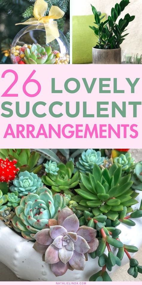 Get inspired to create beautiful indoor succulent arrangements and outdoor succulent arrangements with this fun guide! Succulent plants in pots, whether big pots or small pots, can add so much beauty to homes and gardens, plus they're low-maintenance! Colorful Succulent Arrangements, Succulent Arrangements In Glass Bowl, Succulent Arrangements Outdoor Garden, Cactus And Succulent Arrangements, Succulent Planting Ideas, Succulent Garden Design Pots & Planters, Succulent Garden Design Indoor, Succulent And Flower Centerpiece, Succulent Planter Ideas Indoor