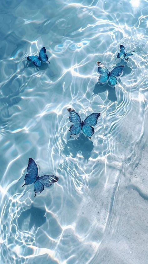 Free download of high-quality iPhone wallpapers dreamy beauty of nature – Bujo Art Shop Photo Papillon, Blue Sky Wallpaper, Blue Butterfly Wallpaper, Beautiful Butterfly Pictures, Cute Summer Wallpapers, Cute Blue Wallpaper, Blue Wallpaper Iphone, Pretty Phone Wallpaper, Blue Butterflies