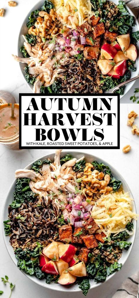 Experience the ultimate comfort with our Autumn Grain Bowls, the coziest kale salad you'll encounter this season. Packed with hearty and nutritious ingredients like kale, wild rice, quinoa, roasted sweet potatoes, apple, and smoked gouda, these bowls are topped off with a luscious cinnamon maple balsamic vinaigrette. Ideal for a wholesome fall dinner, these harvest bowls can be enjoyed warm or chilled. They're perfect for meal prep and can be easily adapted to be vegetarian, vegan, or dairy-free. Maple Balsamic Vinaigrette, Fall Vegetables Recipes, Healthy Fall Salads, Harvest Bowls, Nourishing Dinner, Healthy Autumn, Maple Vinaigrette, Maple Balsamic, Recipes By Ingredients