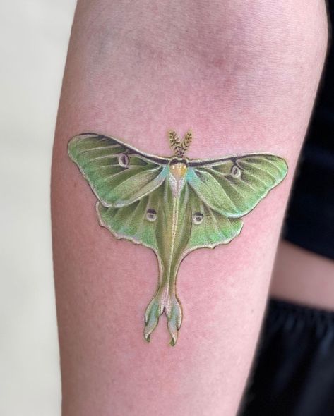 Luna Moth Tattoos, Moth Tattoo Ideas, Lunar Moth Tattoo, Luna Moth Tattoo, Moth Tattoos, Moth Tattoo Design, Botanical Tattoos, Green Tattoos, Lunar Moth