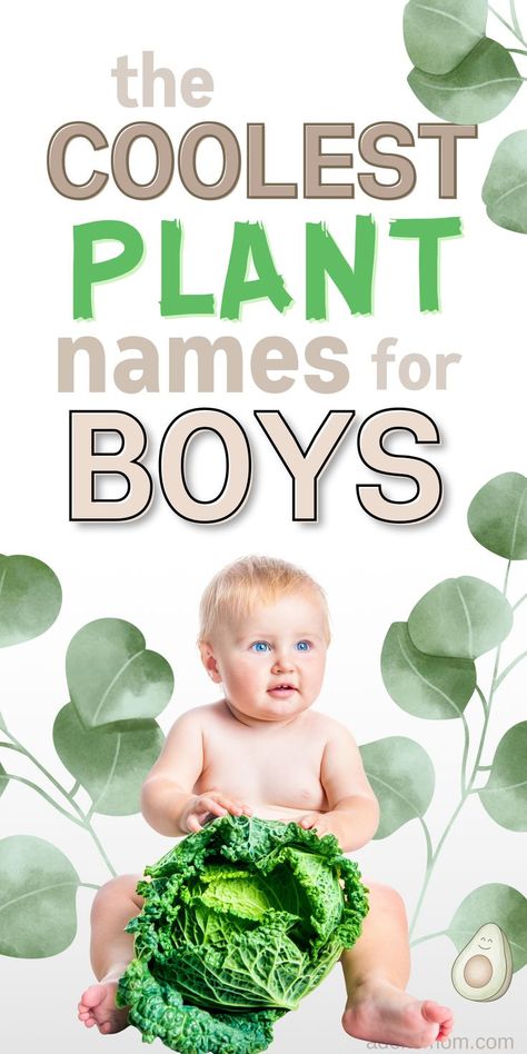 the coolest plant names for boys - picture of baby boy surrounded by green leaves and holding a big head of lettuce Plant Baby Names, Sims 4 Names, Nature Names For Boys, Earthy Boy Names, Names Nature, Flowers Name List, Name Combinations, Baby Boy Name List, First And Middle Names