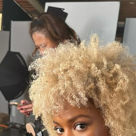 Shea on Instagram: "Went legally platinum blonde with my curls ➿intact by @leysahairandmakeup| assistant @colorbytorres @redken @lorealusa  And makeup @sandy_nicha  More details on my blonde process to come  #curlyhair #afro #blonde #afro #washngo #caribbeancurlss #redken #loreal" Platinum Blonde Afro Natural Hair, Platinum Blonde Hair Black Women, Platinum Blonde 4c Hair, Blonde Afro Dark Skin, Blonde Afro Wig Black Women, Blonde Afro Hair Black Women, Blonde 4c Afro, Blonde Afro Wig, Blonde Afro