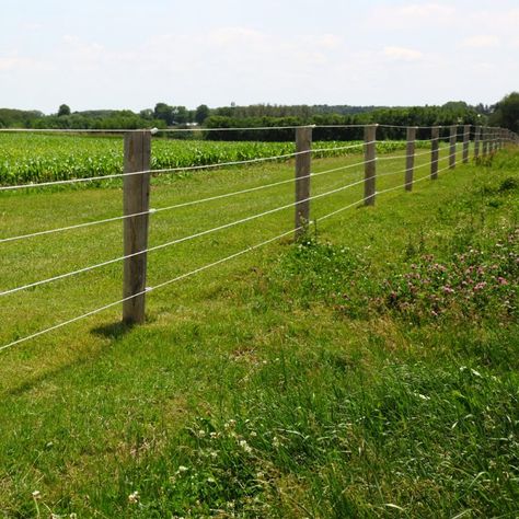 Protecting Your Homestead Property Cheap Farm Fence Ideas, Property Fence Ideas, Diy Electric Fence, Property Fence, Cheap Fence Ideas, Dog Ear Fence, Perimeter Fence, Farm Fencing, Homestead Property