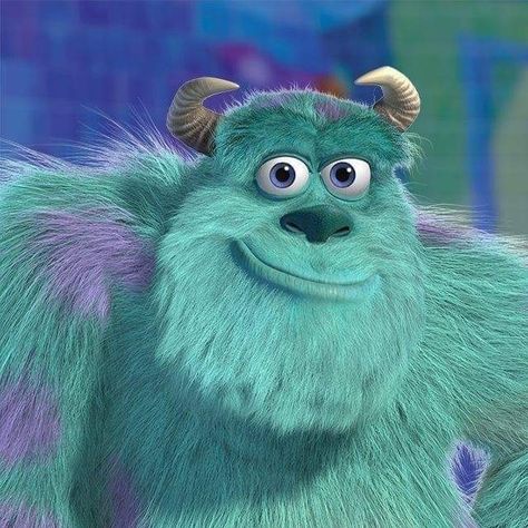 Sulley Monster Inc, Monster Inc Sully, Buu Monster Inc, Sully And Boo, Sully Monsters Inc, Boy Cartoon Characters, Anime Toon, South Park Funny, Monster Inc