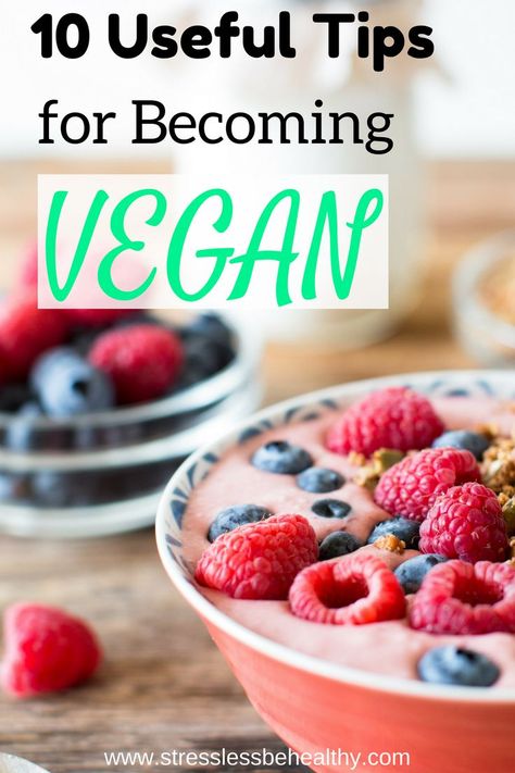 Have you ever tried to become vegan before? It can be difficult to change your lifestyle, whether to be completely plant based or vegan. Learn how to succeed with your journey to healthy eating with these 10 tips! Healthy Vegan Pancakes, Oatmeal Breakfast Bars Healthy, Becoming Vegan, Vegan Grocery List, Diy Healthy Snacks, How To Become Vegan, Vegan Tips, Vegan Guide, Vegan Living