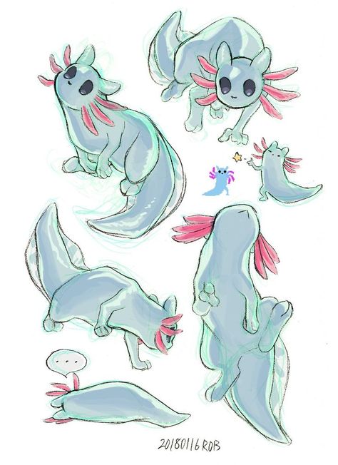 Kawaii Fantasy Creatures, Orca Mermaid Art, Axolotl Creature Design, Mythical Animals Drawing, Hybrid Animal Drawing, Axolotl Oc Drawing, Cute Fantasy Pets, Fantasy Pet Art, Animal Hybrids Drawing