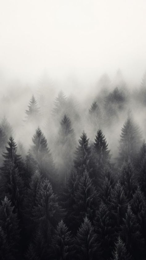 Forest tree fog outdoors | premium image by rawpixel.com / Boom Dark Forest Background, Dark Foggy Forest, Mountain Black And White, Forest Minimalist, Iphone Wallpaper Mountains, Wallpaper Mountain, Grey Wallpaper Iphone, Black And White Wallpaper Iphone, Themes For Mobile