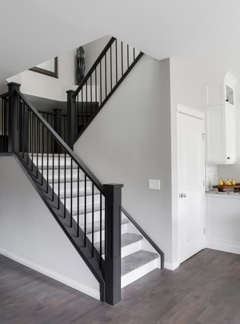 Aspen Stone Renovation - Transitional - Staircase - Calgary - by Knight Custom Homes | Houzz Black And White Staircase With Gray Floors, Gray Banister Staircases, Grey Staircase, Grey And White Hallway, Grey Hallway Ideas, Parts Of House, Railing For Stairs, Scandi Hallway, Dream Family Home