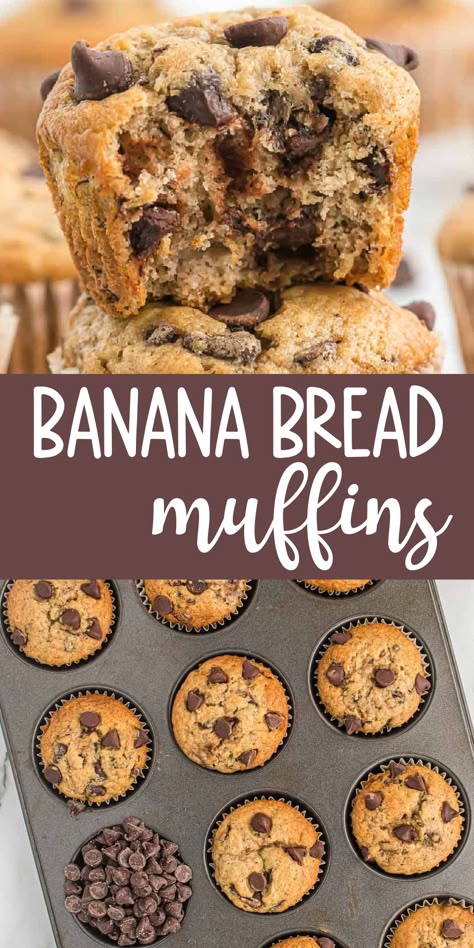 2 Banana Chocolate Chip Muffins, Banana Chocolate Chip Muffins Easy Cake Mixes, Banana Bread Recipe Cupcakes, Freezer Banana Muffins, Banana Bread Using 2 Bananas, Banana Bread Muffin Recipe Moist, Banana Muffins 3 Bananas, Chocolate Chip Banana Muffin Recipes, Banana Bread Muffins Easy 2 Bananas