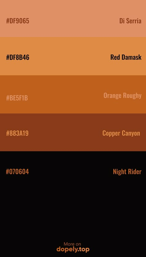 Color Palette inspiration with these hex codes: #DF9065 #DF8B46 #BE5F1B #883A19 #070604 #dopely #colorpalette October Hex Codes, Night Life Color Palette, Spooky Color Palette Hex Codes, Color Scheme With Hex Code, Dark Eclectic Color Palette, Calico Color Palette, Black Brown Yellow Color Palette, Halloween Hex Codes, Color Pallets Hex Codes