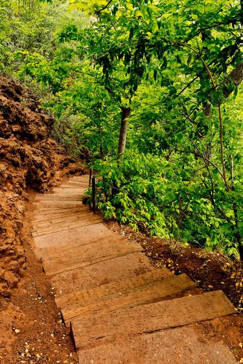 Waterfall Trailhead Fossil Creek, Photography Bucket List, Payson Az, Natural Bridge, Northern Arizona, Arizona Travel, Cheap Flights, National Forest, Plan Your Trip