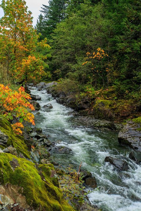 Mountain Streams, Rivers Streams, Video Nature, Autumn Scenery, Tableaux Paysage, Beautiful Places Nature, Beautiful Waterfalls, Nature Aesthetic, Pretty Places